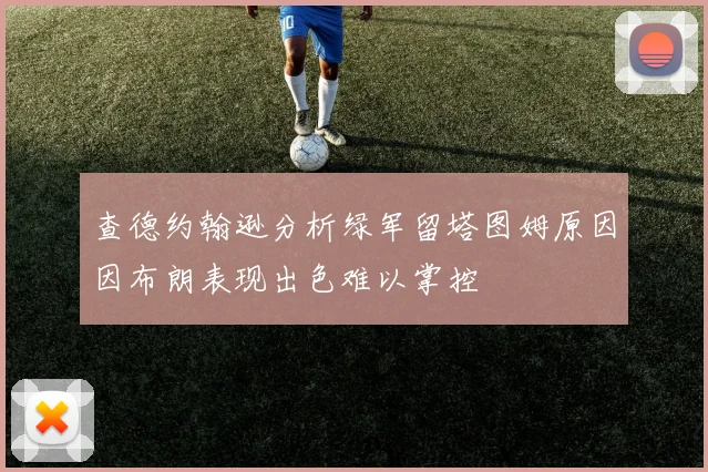查德约翰逊分析绿军留塔图姆原因因布朗表现出色难以掌控