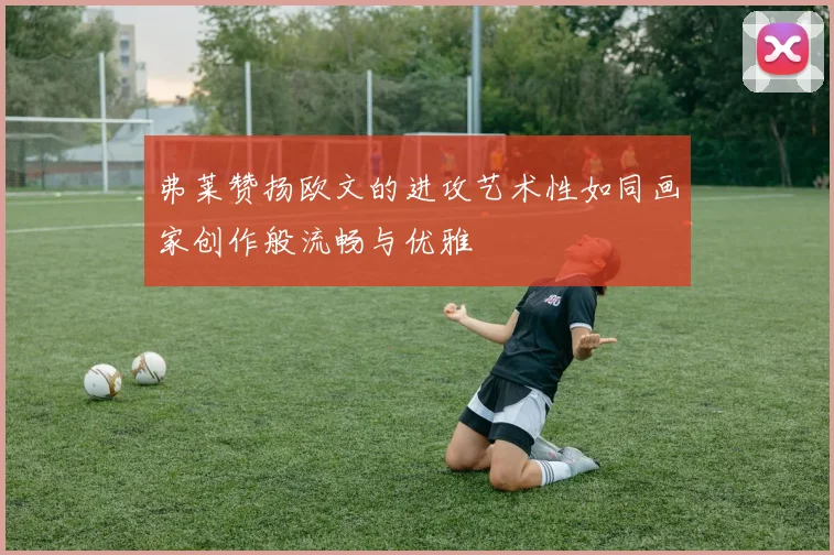 弗莱赞扬欧文的进攻艺术性如同画家创作般流畅与优雅