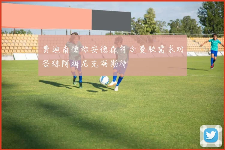 费迪南德称安德森符合曼联需求对签琼阿梅尼充满期待